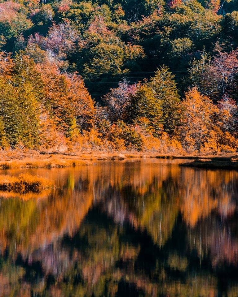 Ushuaia en otoño