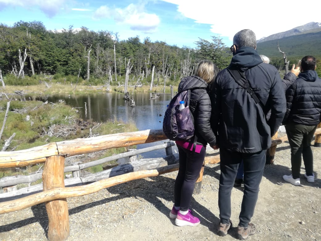 conocer el parque nacional tierra del fuego en verano