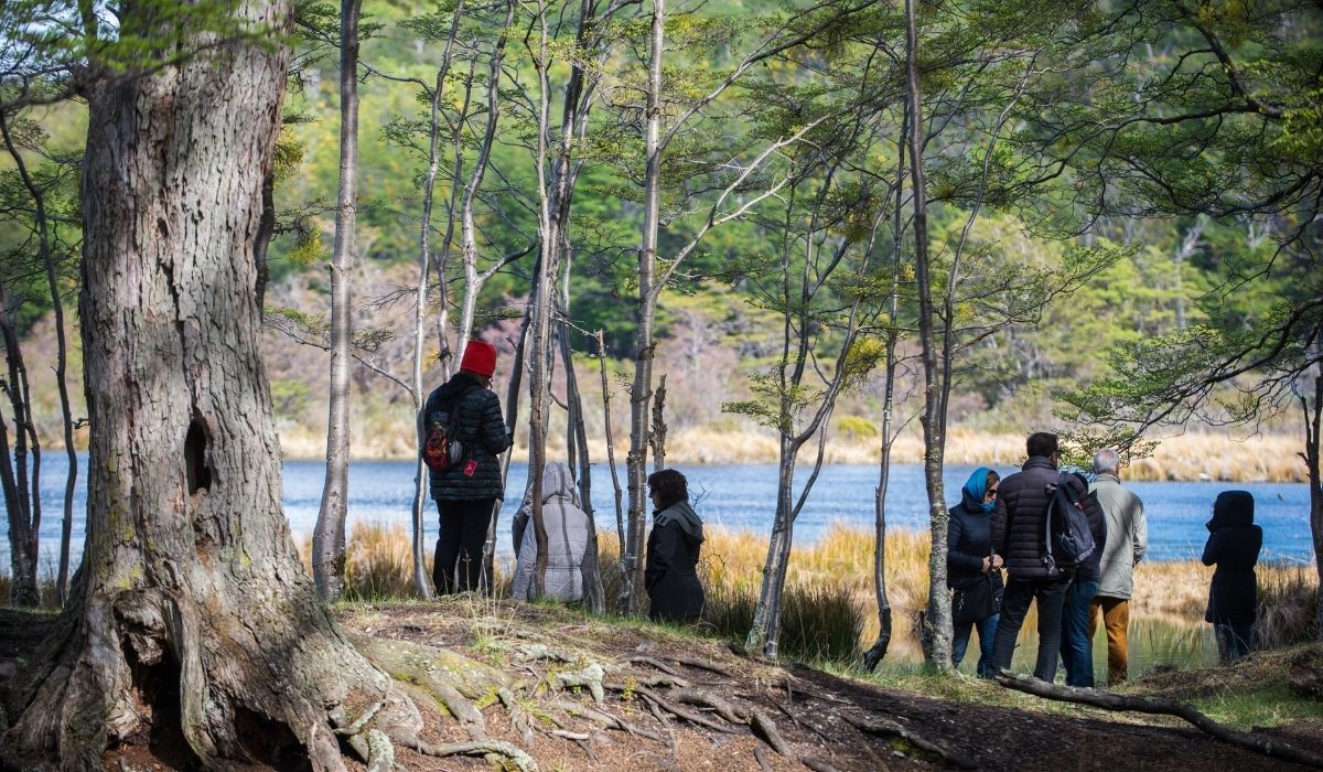 recorrer-el-parque-nacional-tierra-del-fuego-en-temporada-de-verano-pre-viaje