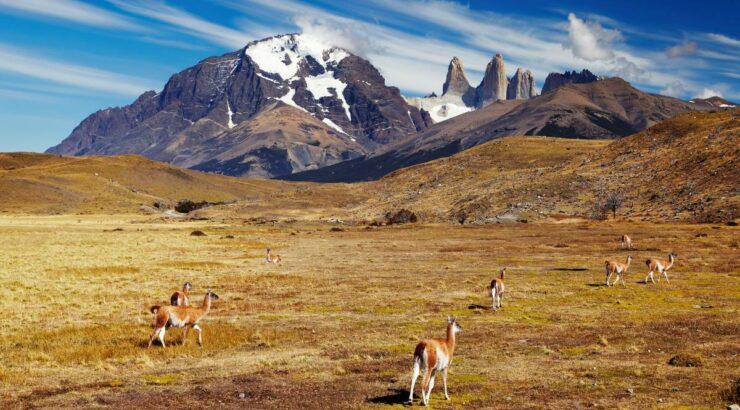 Full Day Torres del Paine – 4×4 Overland Truck