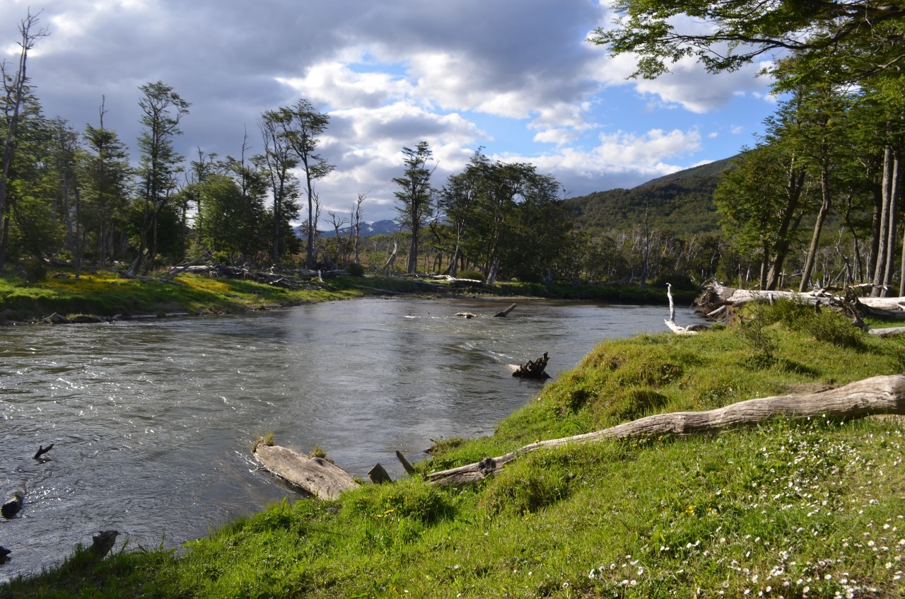 Ushuaia en verano: excursiones para todos