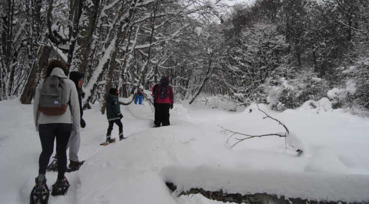 Trekking Laguna Esmeralda en Invierno