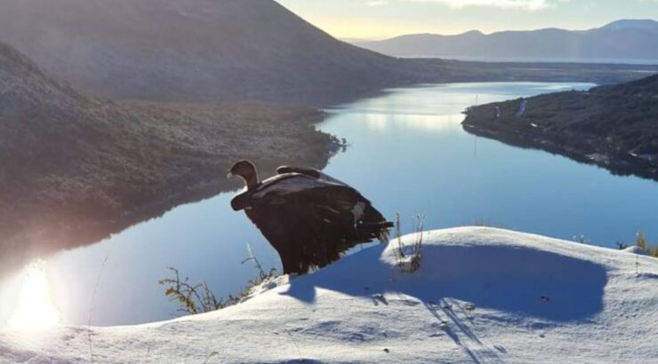 Lago Escondido y Centro Invernal