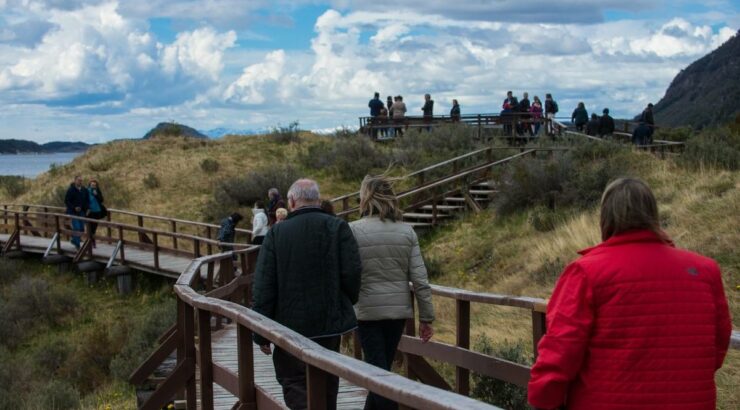 Tierra del Fuego National Park + Pinguinera