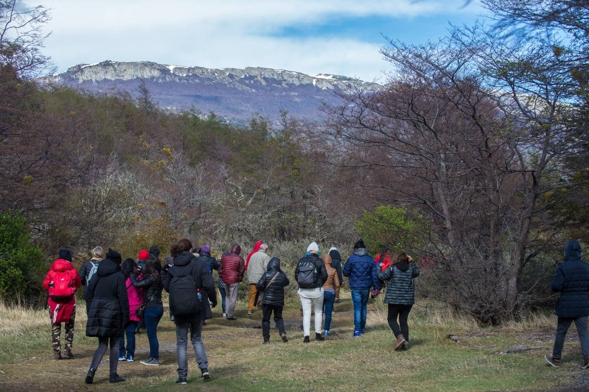 Parque Nacional TDF 4