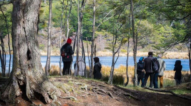 Parque Nacional Tierra del Fuego