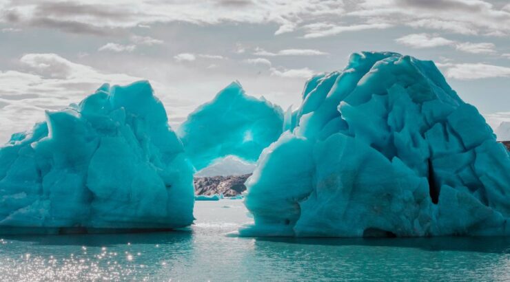 Experiencia Glaciares Gourmet en Crucero