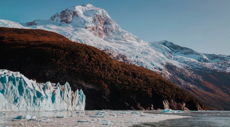 Gourmet Glaciers Cruise Experience