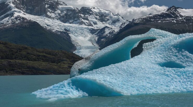 Gourmet Glaciers Cruise Experience