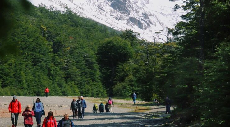 Parque Nacional Terra do Fogo + Traslados