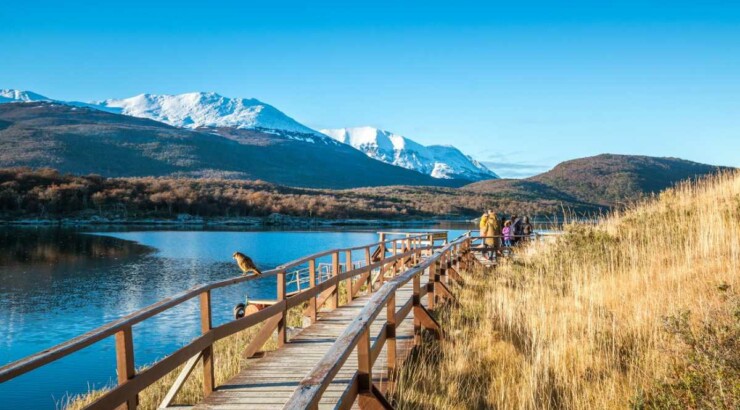 Parque Nacional Tierra del Fuego + Pinguinera