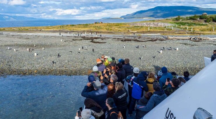 Parque Nacional Tierra del Fuego + Pinguinera