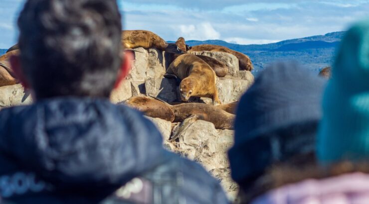 Parque Nacional Tierra del Fuego + Pinguinera