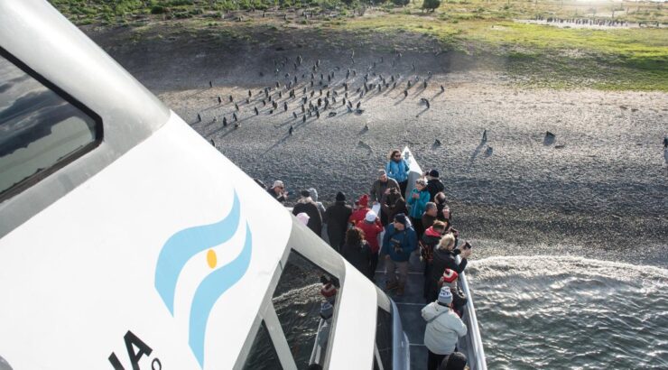 Navegación Pinguinera – Verano