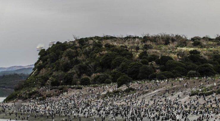 Parque Nacional Tierra del Fuego + Pinguinera