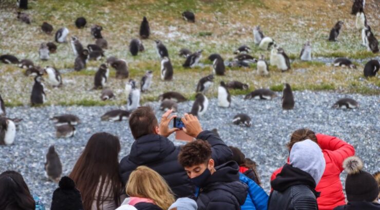 Navegación Pingüinera – Verano