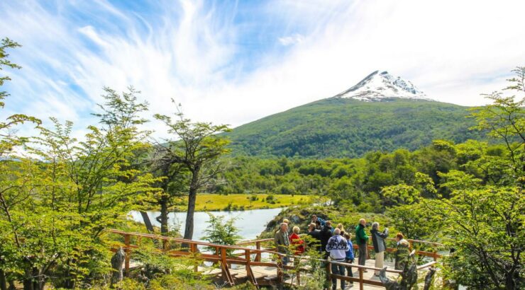 Parque Nacional Tierra del Fuego + Navegacion Isla Redonda