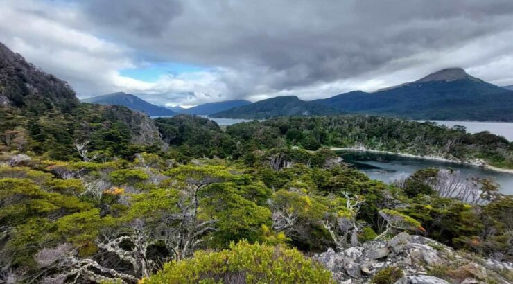 Parque Nacional Tierra del Fuego + Navegacion Isla Redonda