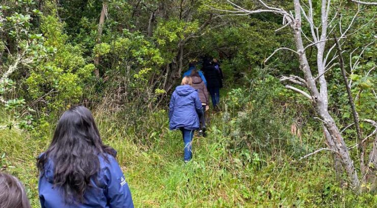 Parque Nacional Tierra del Fuego + Navegacion Isla Redonda