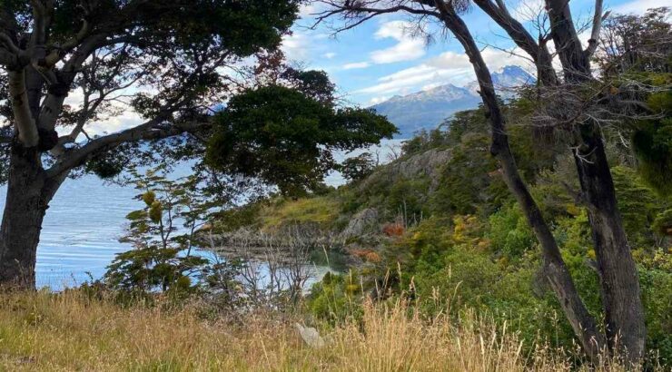 Parque Nacional Tierra del Fuego + Isla Redonda