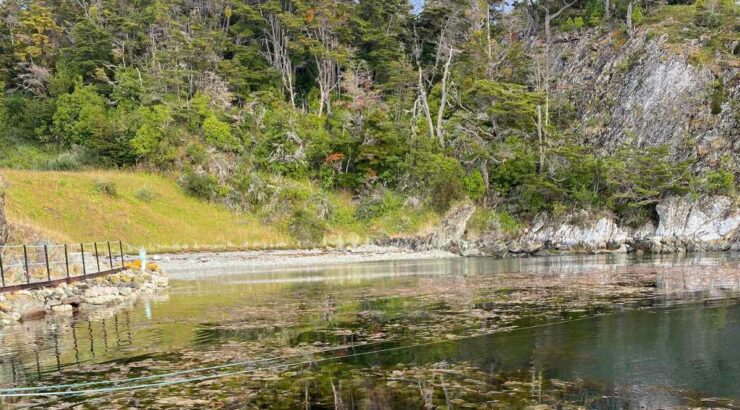 Parque Nacional Tierra del Fuego + Navegacion Isla Redonda