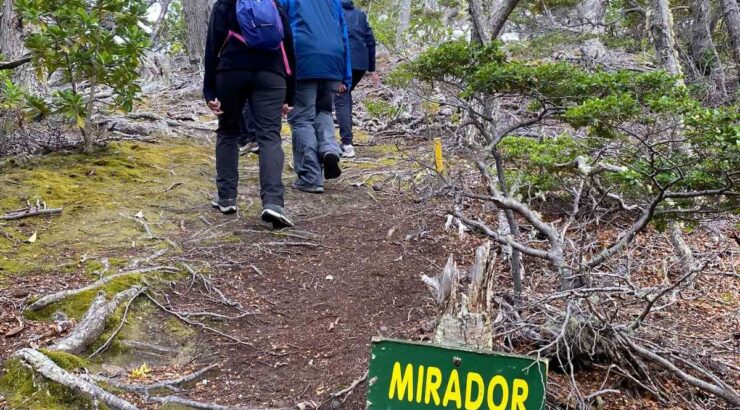 Parque Nacional Tierra del Fuego + Isla Redonda