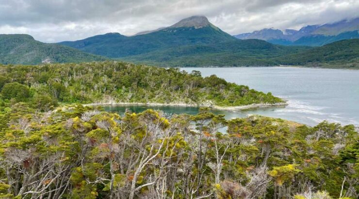 Parque Nacional Tierra del Fuego + Navegacion Isla Redonda