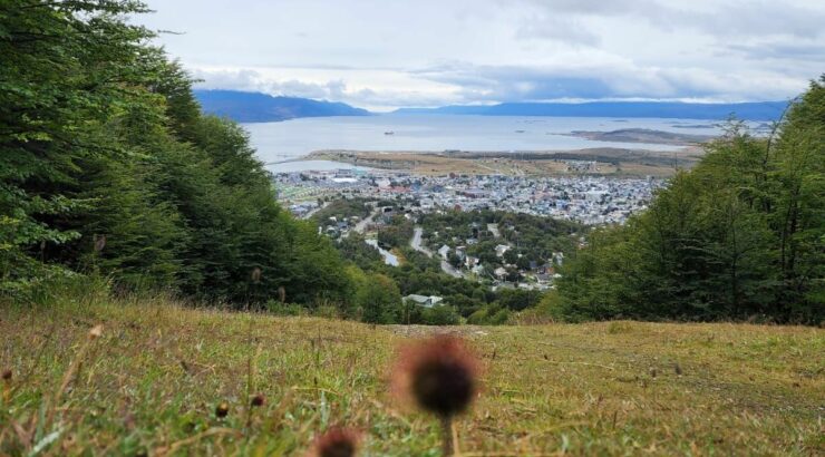 Paisajes y delicias de Ushuaia