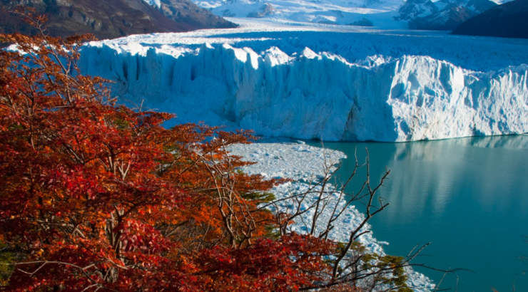 Pacote Calafate/ Chaltén em 3 dias (copia)