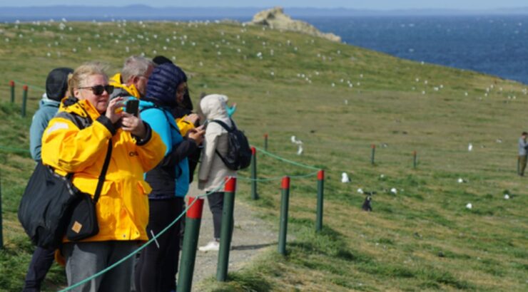 Isla Magdalena: Caminata con Pingüinos y Faro (Punta Arenas, Chile)