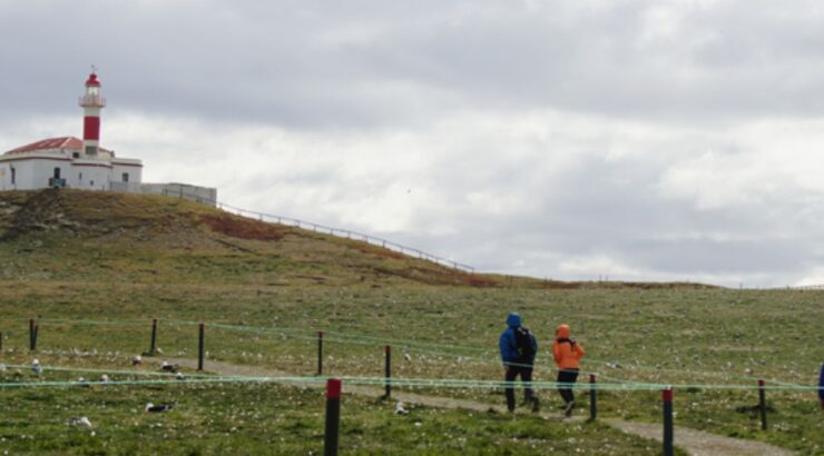 Isla Magdalena: Caminata con Pingüinos y Faro (Punta Arenas, Chile)