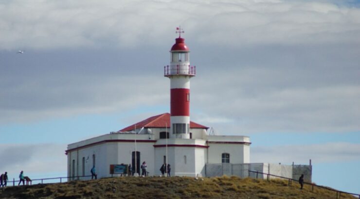 Isla Magdalena: Caminata con Pingüinos y Faro (Punta Arenas, Chile)